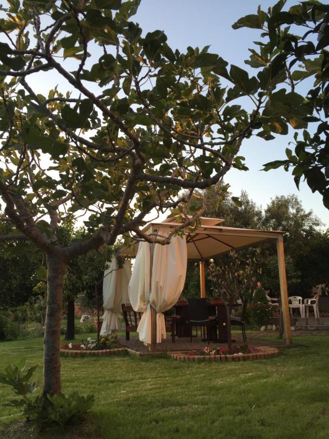 B&B Villa Magna Grecia Lazzaro ภายนอก รูปภาพ