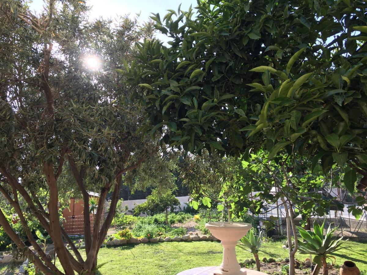 B&B Villa Magna Grecia Lazzaro ภายนอก รูปภาพ